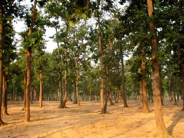Weekend Tour Package From Kolkata To Shantiniketan