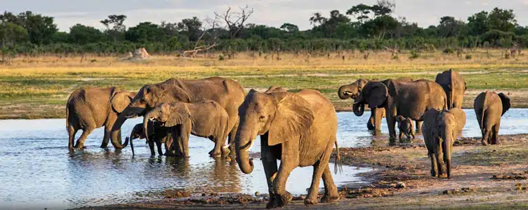 What is Visa on Arrival for Indians, and Why It Matters in 2026