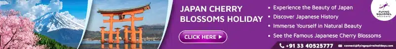 Japan Cherry Blossom Holiday for Indians