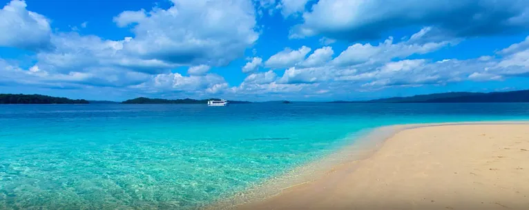Essential Travel Tips for the Cruise