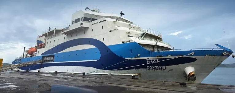 MV Sindhu