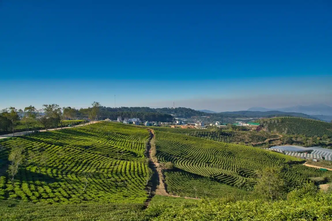 Dalat, Lâm Đồng, Vietnam
