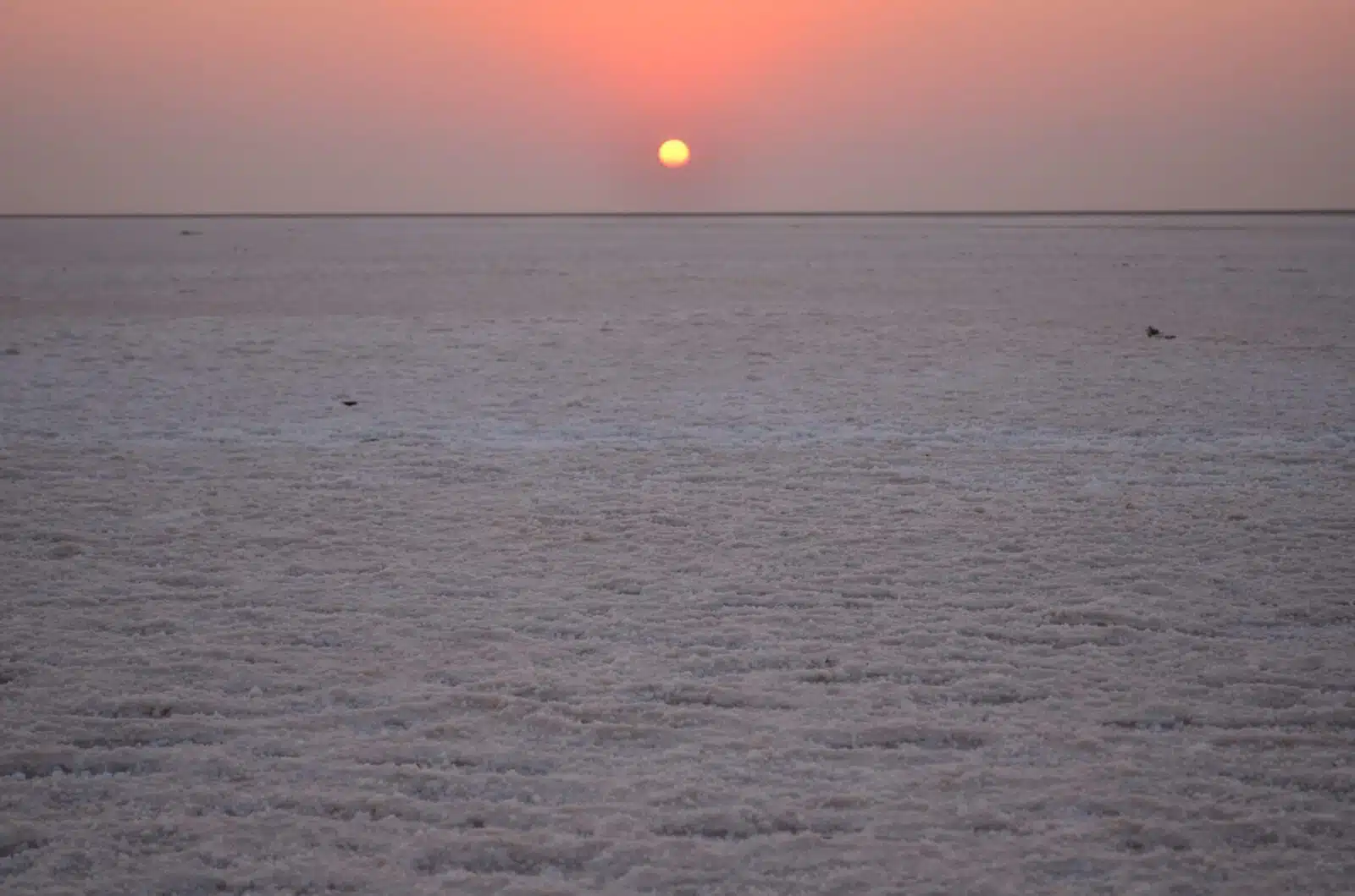 best travel agency in India best travel agency in India