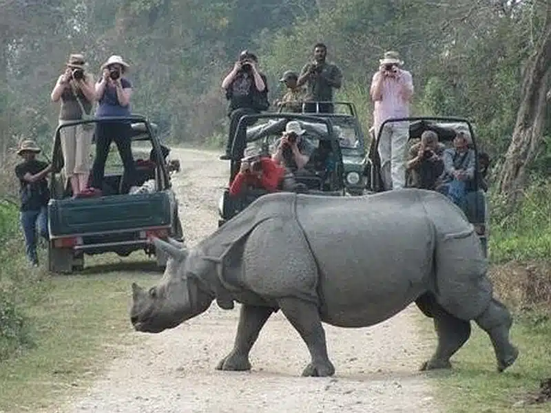 best tour and travel agency in kolkata best tour and travel agency in kolkata