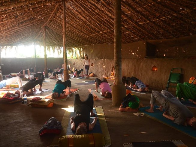13 Best Yoga Retreats In Goa