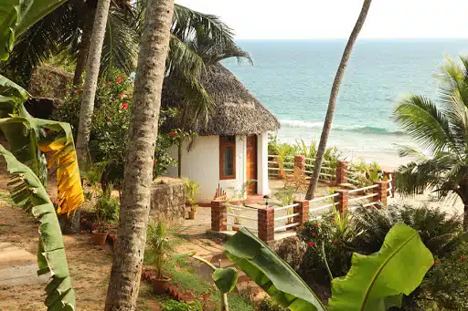 Best Yoga Retreats In Kerala
