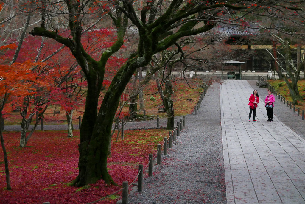 Japan Honeymoon For Indians