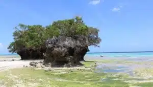 Most Fascinating Destinations in Tanzania for Indians