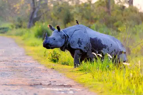 best tour and travels in kolkata
