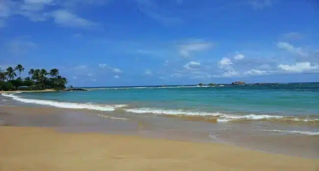 reliable tour operator in india