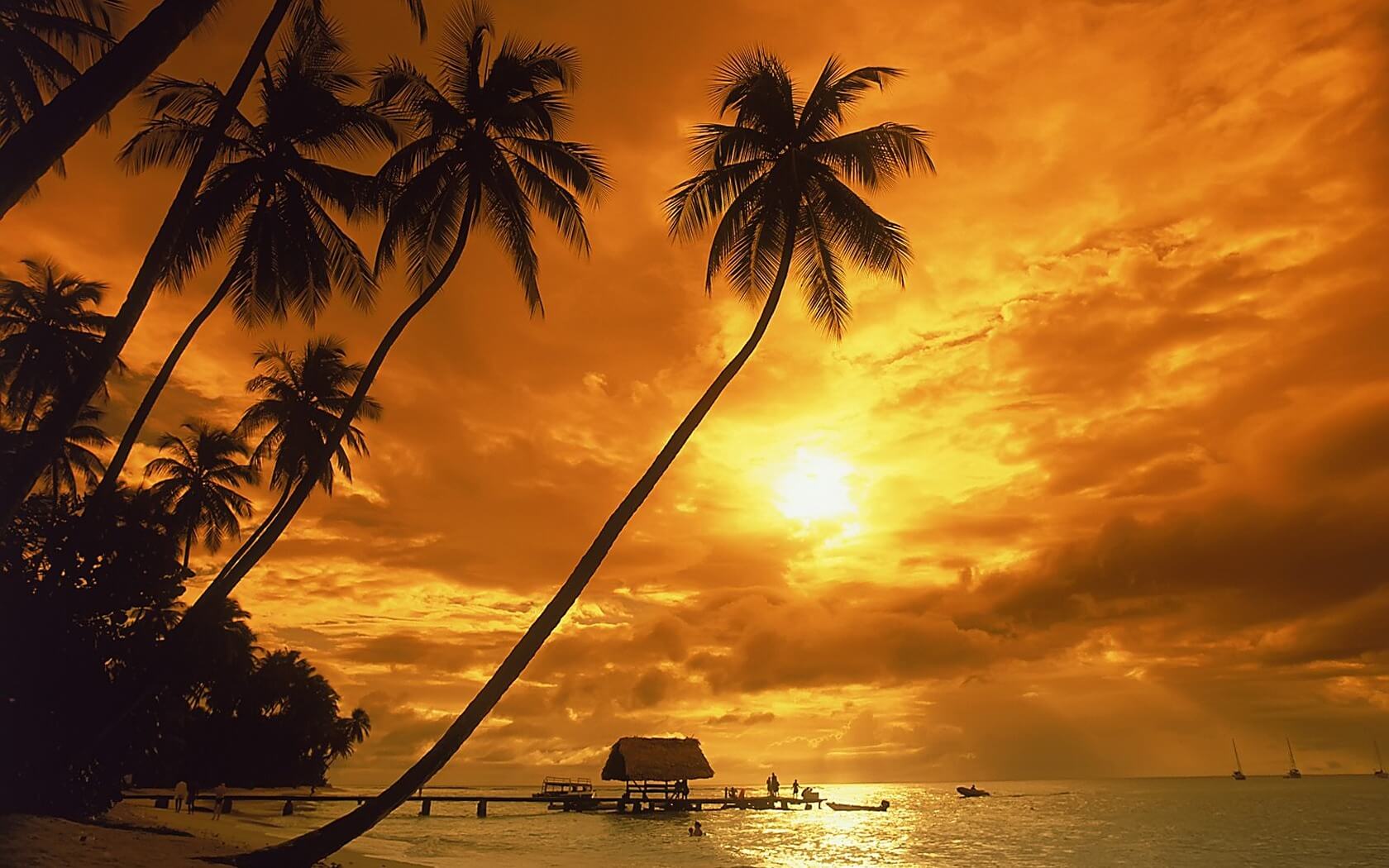 tropical_sunset