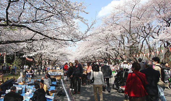 Japan Honeymoon For Indians