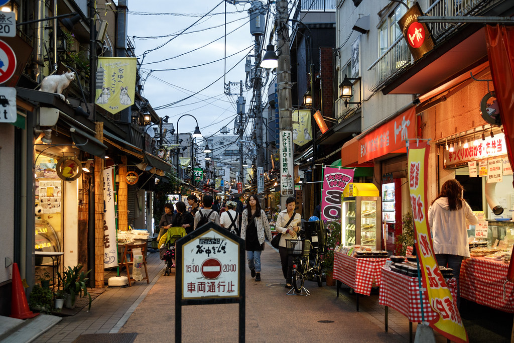 Japan Honeymoon For Indians