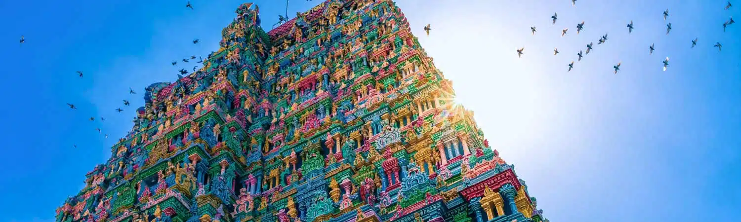 South India tour in Durga Puja