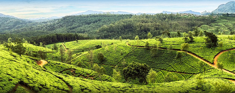 Countries Indians can travel to without a visa