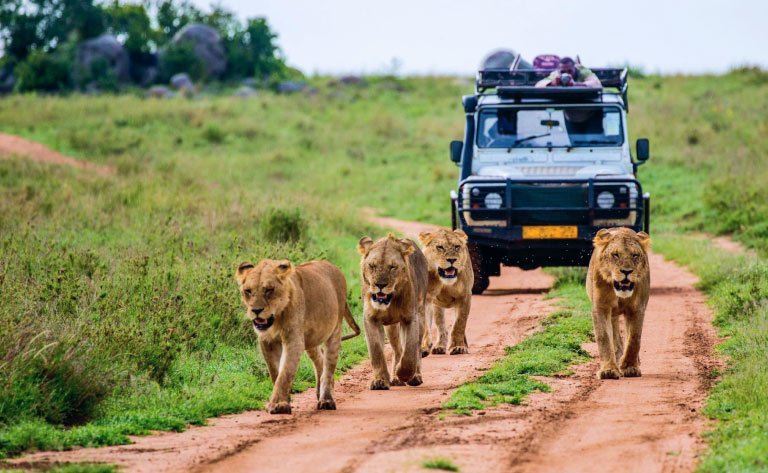 Kenya - Visa on Arrival for Indians