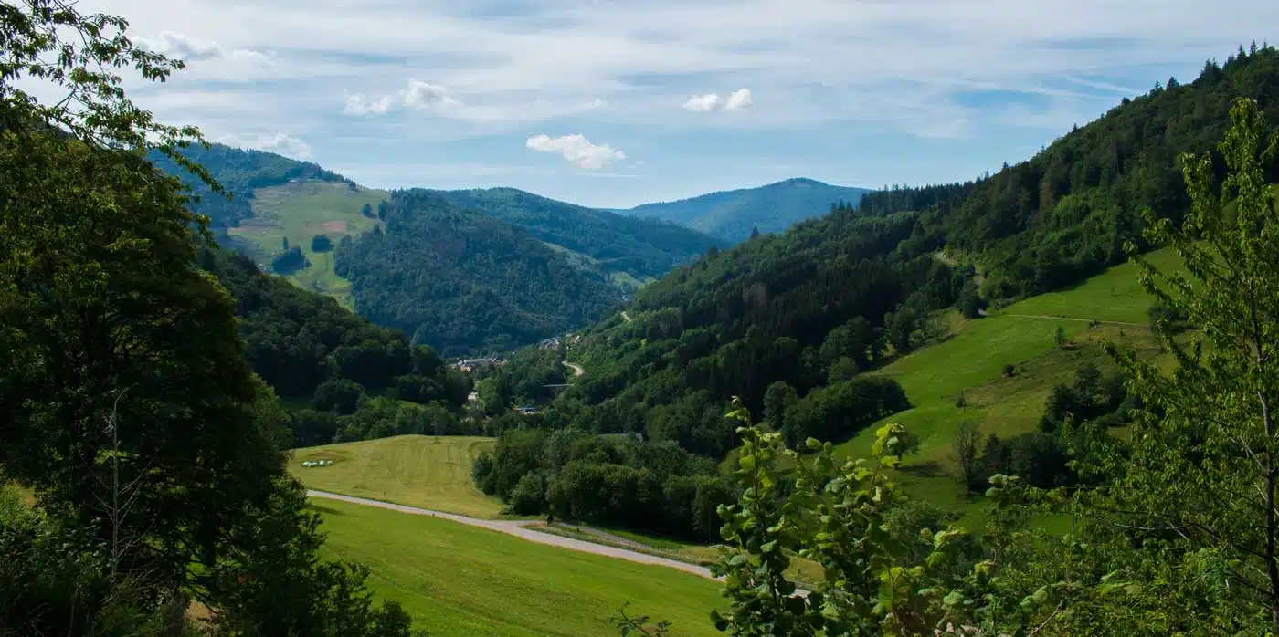 tour-view-img