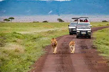 KENYA WILDERNESS UNVEILED