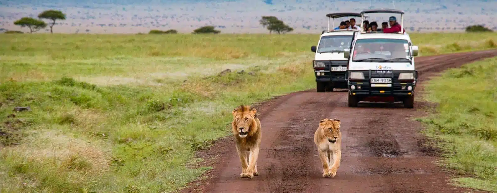 Kenya tour Packages from Kolkata