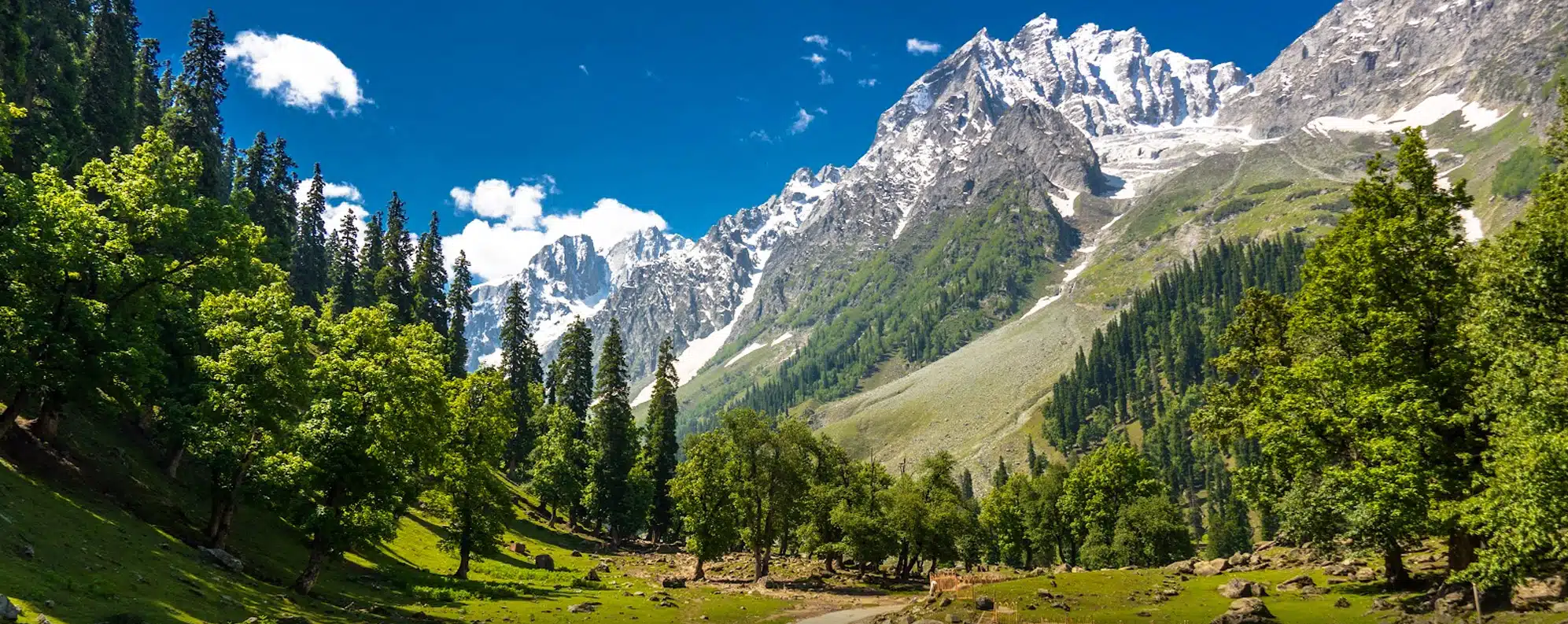 Sonmarg