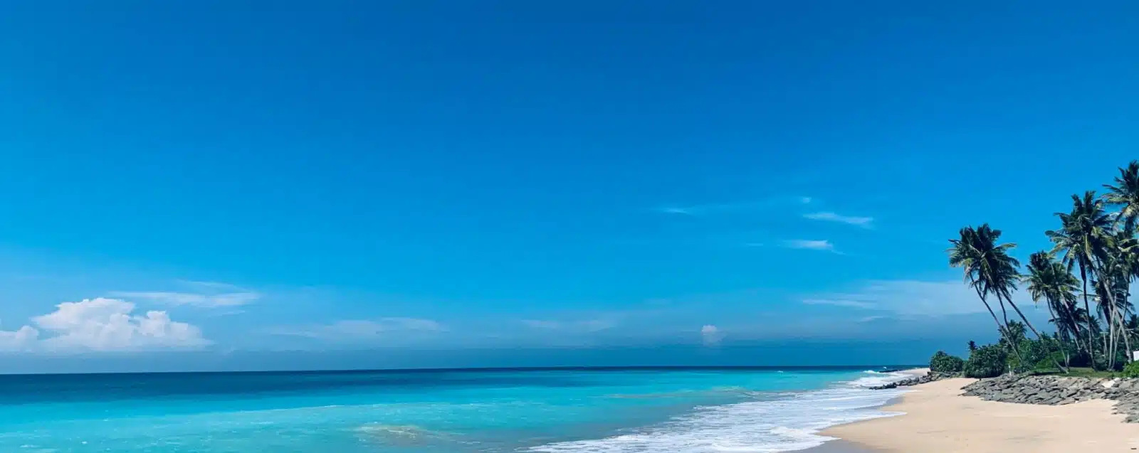 BENTOTA