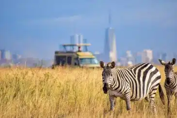 KENYA 6Nights & 7Days