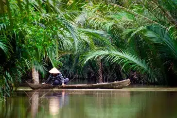 RESPLENDENT VIETNAM