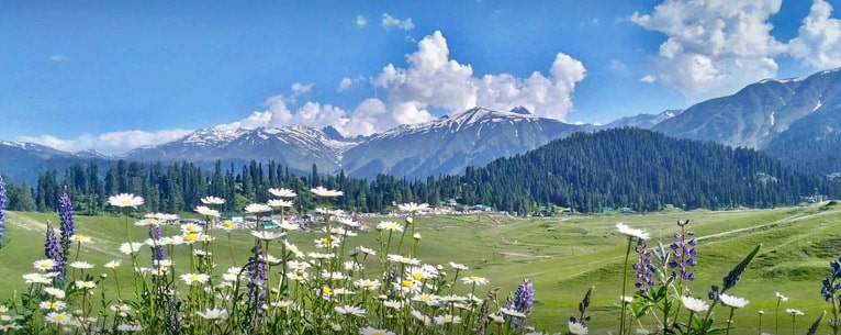 places to visit in Gulmarg in summer