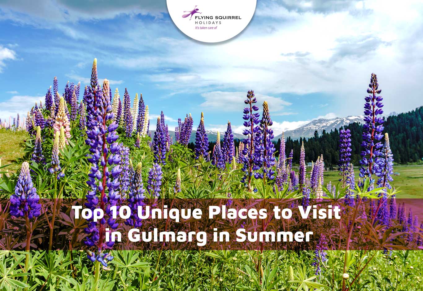 Top 10 Unique Places to Visit in Gulmarg in Summer