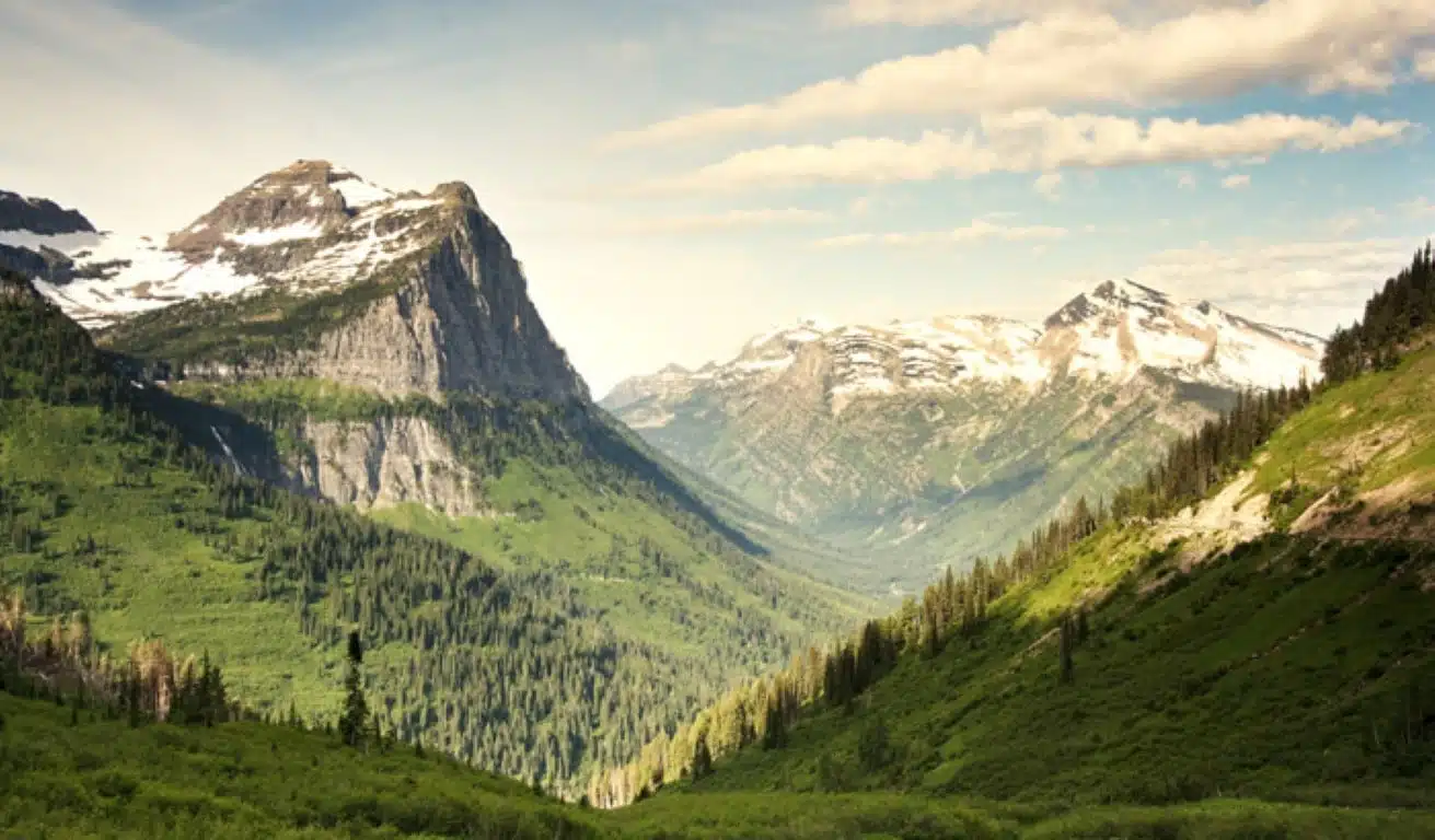 Ningle-Nallah-Gulmarg in Summer