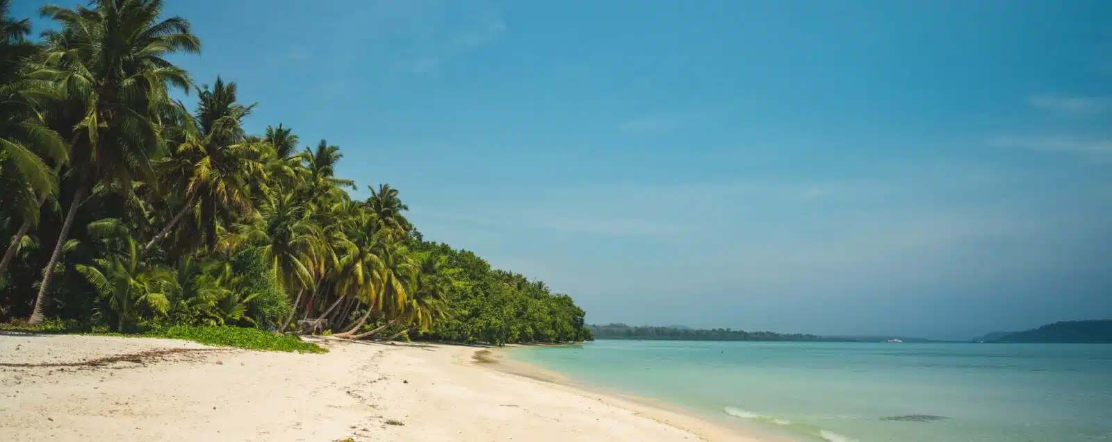 Andaman Tour Packages From Kolkata