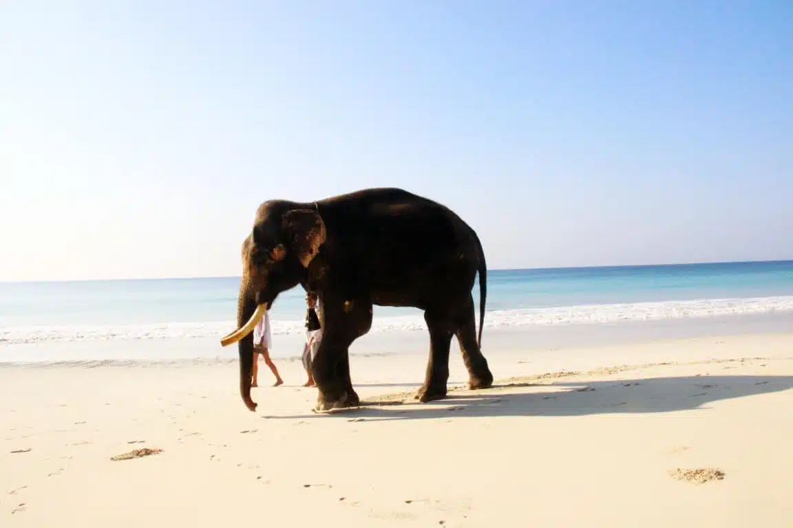 Radhanagar beach near Havelock Island