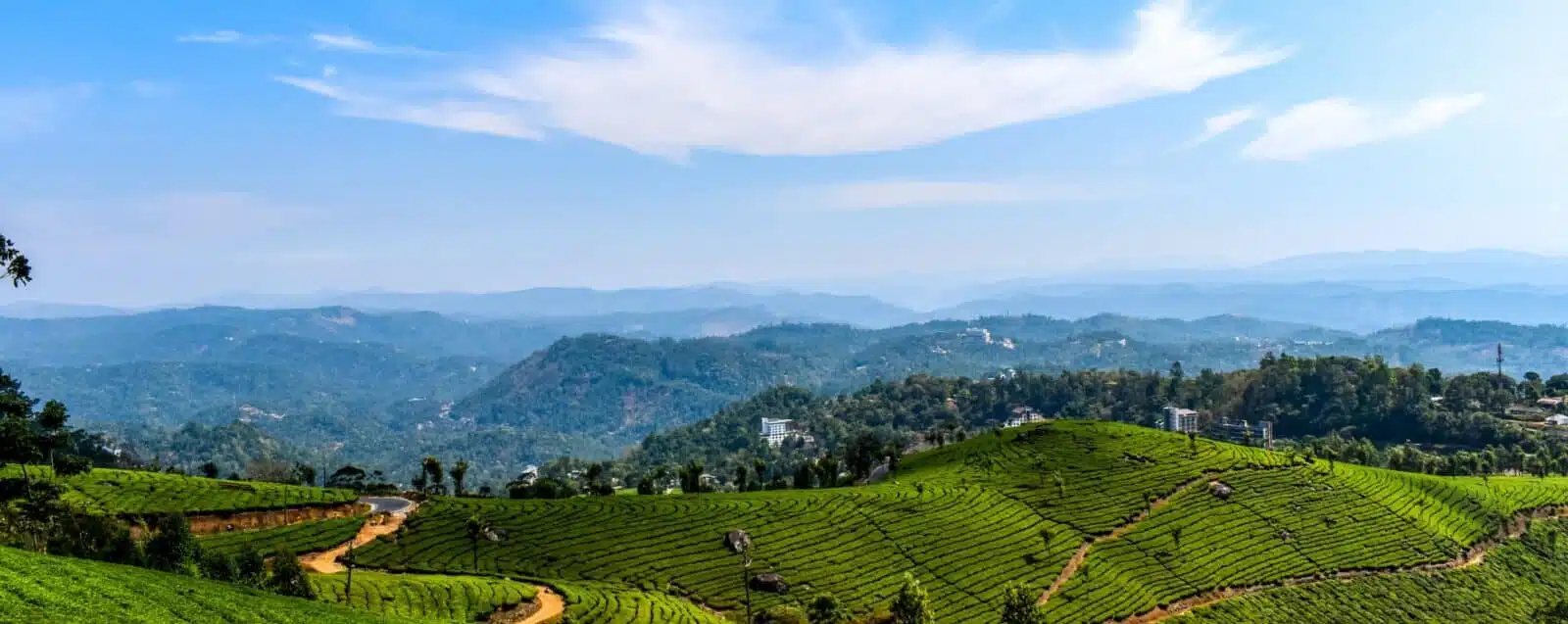 Peasant weather in munnar in may