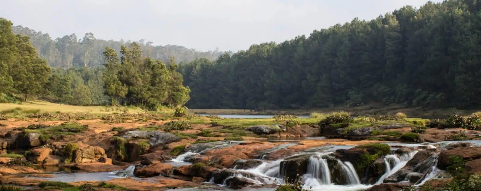 Peak Season at Ooty in may.