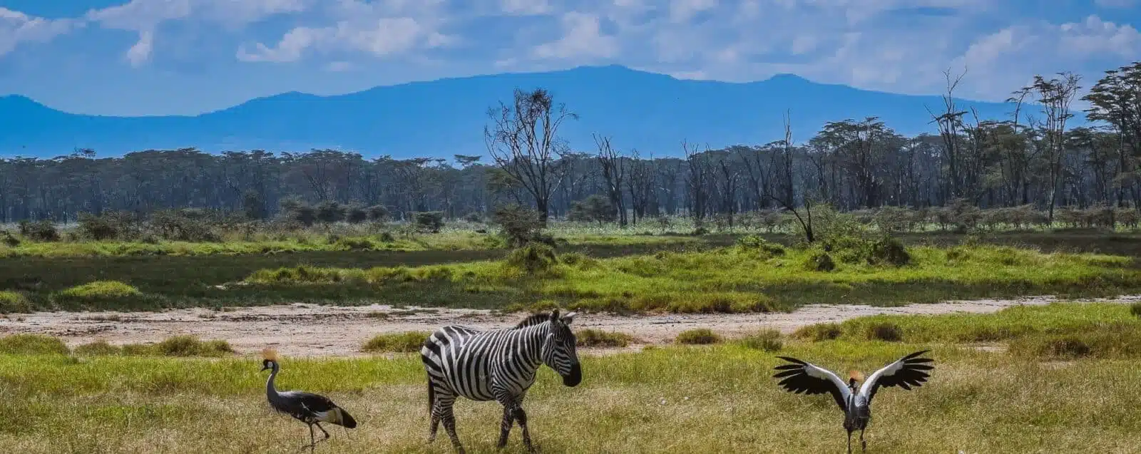 Lake Nakuru, Kenya