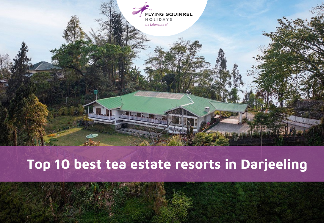 best tea estate resorts in Darjeeling