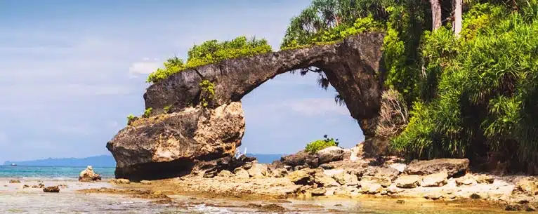 The Best Places to Visit in Neil Island