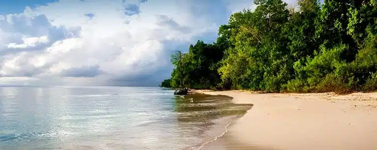 The Best Places to Visit in Neil Island
