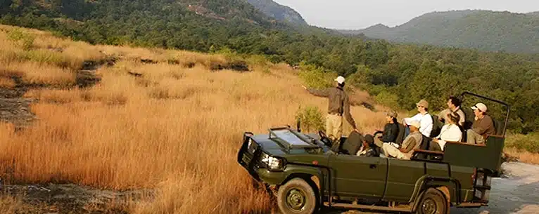 Kumbalgarh Jungle Safari