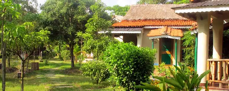 Exploring the Wild: Unleashing the Thrills of Jungle Safari in West Bengal