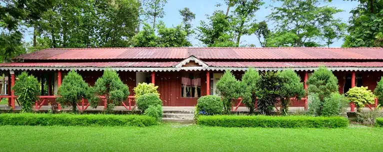 Exploring the Wild: Unleashing the Thrills of Jungle Safari in West Bengal