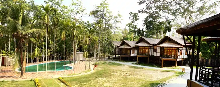 Incredible Places to Visit in Kaziranga National Park