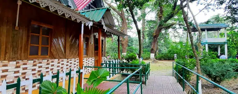 Exploring the Wild: Unleashing the Thrills of Jungle Safari in West Bengal