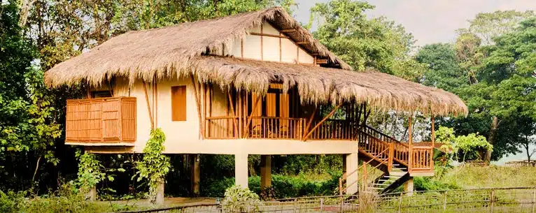 Incredible Places to Visit in Kaziranga National Park