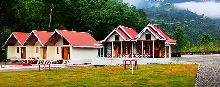 Exploring the Wild: Unleashing the Thrills of Jungle Safari in West Bengal