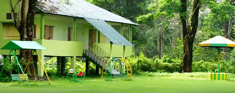 Exploring the Wild: Unleashing the Thrills of Jungle Safari in West Bengal