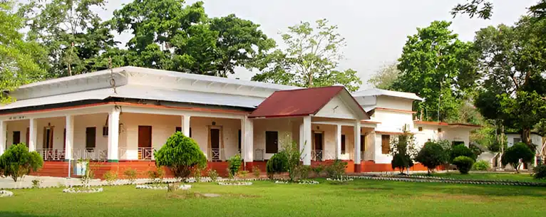 Exploring the Wild: Unleashing the Thrills of Jungle Safari in West Bengal