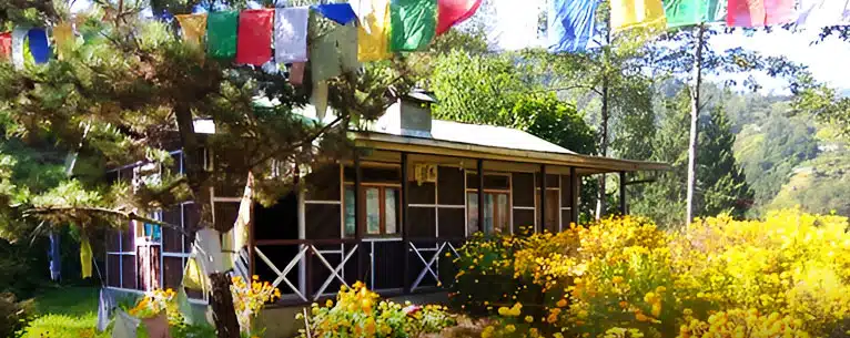 Exploring the Wild: Unleashing the Thrills of Jungle Safari in West Bengal