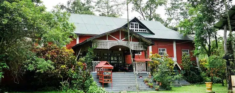 Incredible Places to Visit in Kaziranga National Park