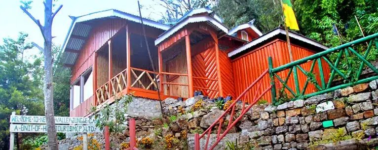 Exploring the Wild: Unleashing the Thrills of Jungle Safari in West Bengal